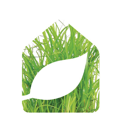 logo Xyland ossature bois, version herbe